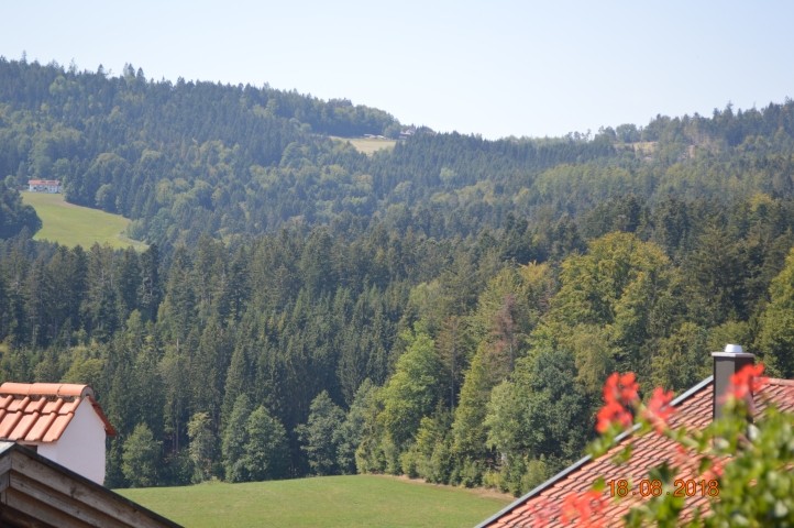 Blick vom Balkon