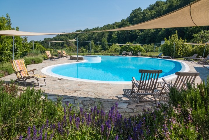 Der 20x14m grosse Pool bei Tag
