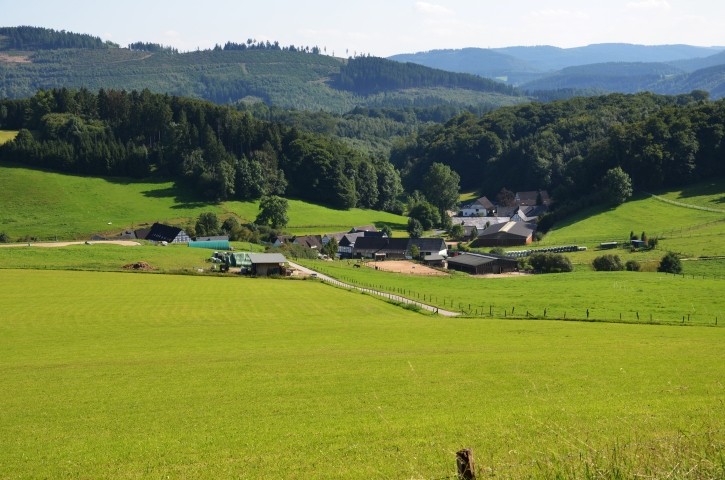 Natur Pur
