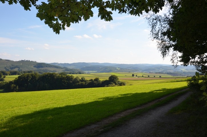 Natur Pur