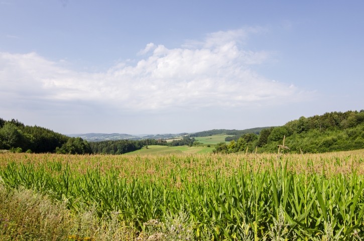 Natur Pur