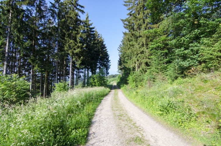Natur Pur
