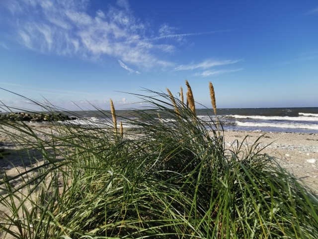 Presener Strand