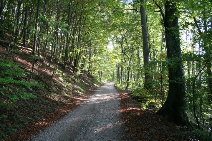 Der Wanderweg direkt hinterm Haus