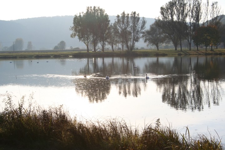 Erholung am See