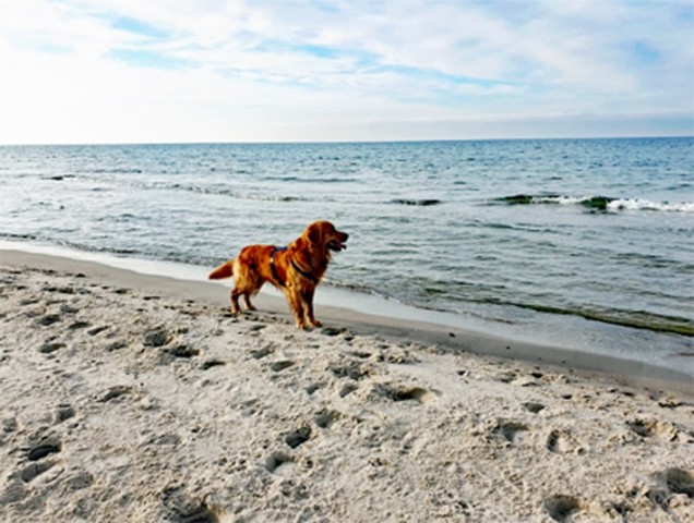 Am Strand