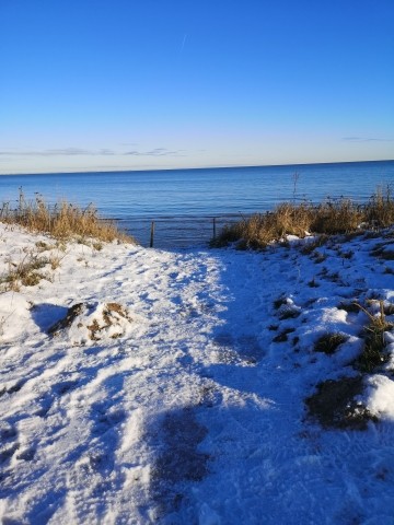 Schönheit der Natur im Winter 