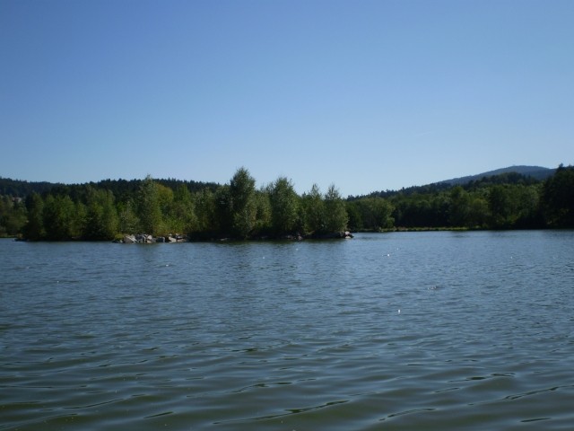 Erlauzwieseler See 