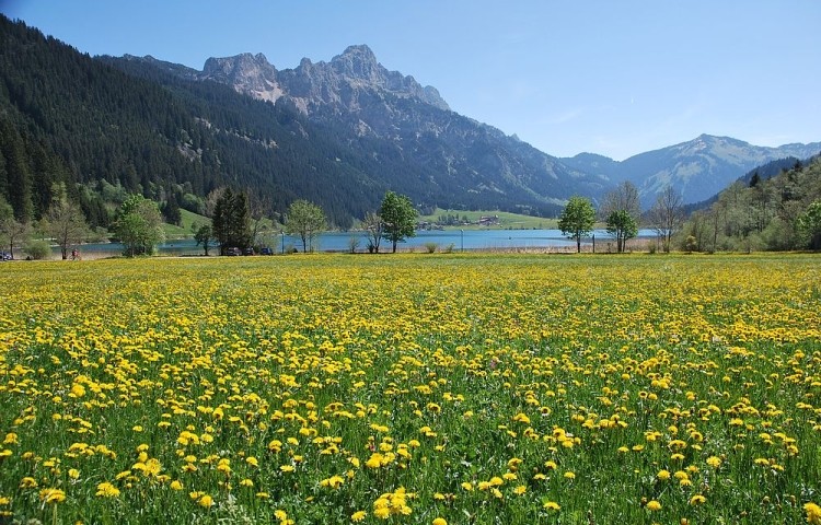 Der Haldensee-nur einen Steinwurf von der Lodge entfernt