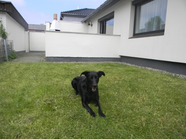 Unser Jacky