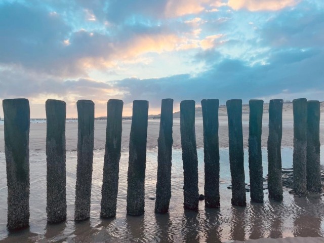 Das Meer von Breskens
