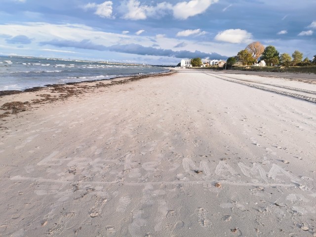 in der Nebensaison dürfen Hunde am Strand laufen...