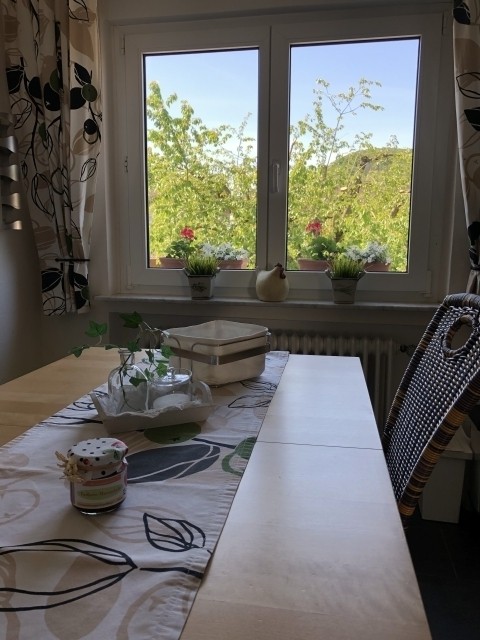 Ausblick aus der Küche