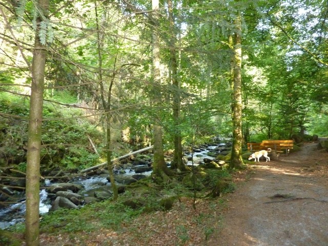 Saußbachklamm