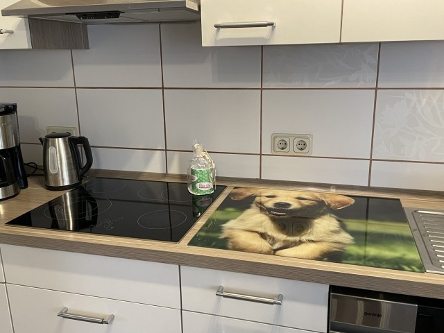 Küche, natürlich mit Hund