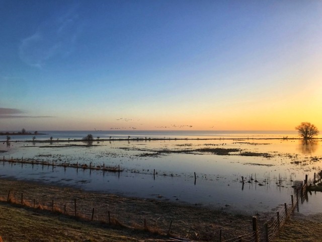 Sonnenaufgang auf der Morgenrunde am IJsselmeer