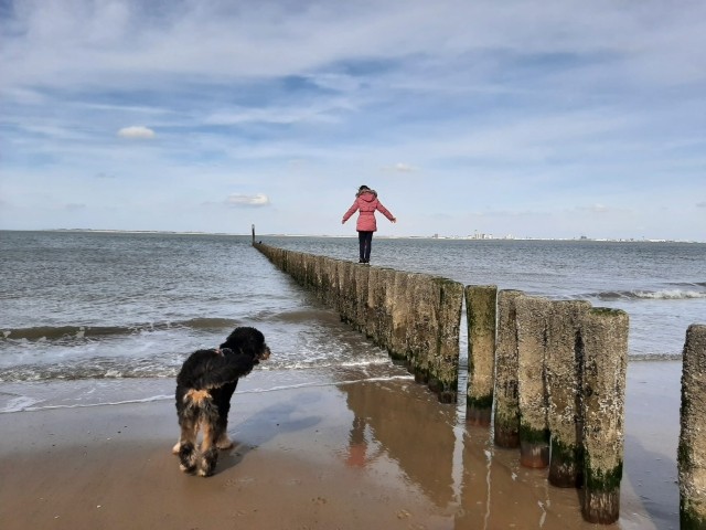 Spaß für Kind und Hund am Strand