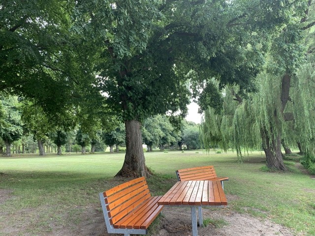 Ruheoase am See