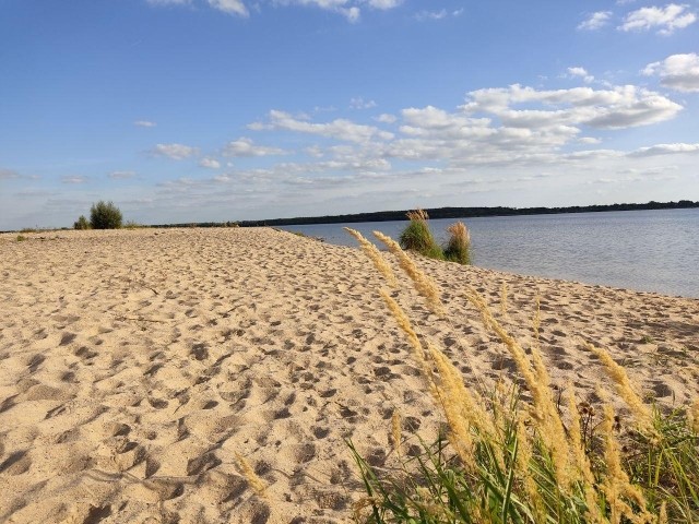 Seelhausener See