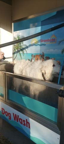 Waschanlage für Hunde
