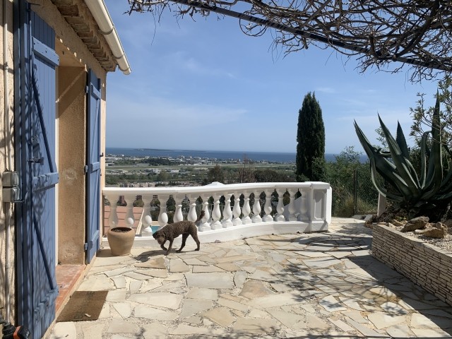 Dog paradise!