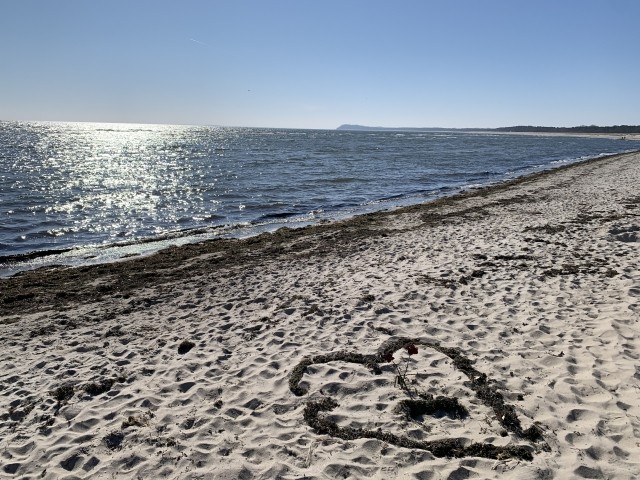 Die Liebe in unseren Herzen