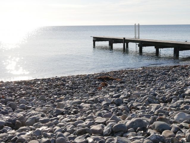 Morgenstimmung am Steg