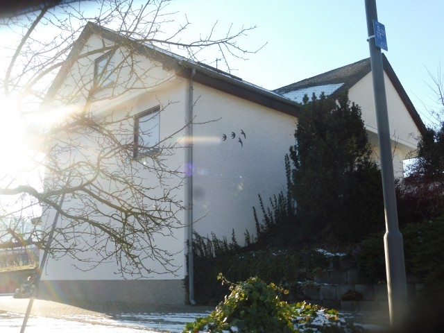 Hausfront