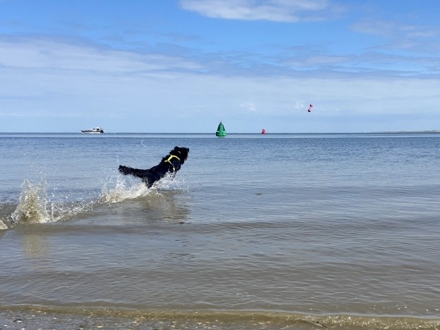 Spaß am Strand