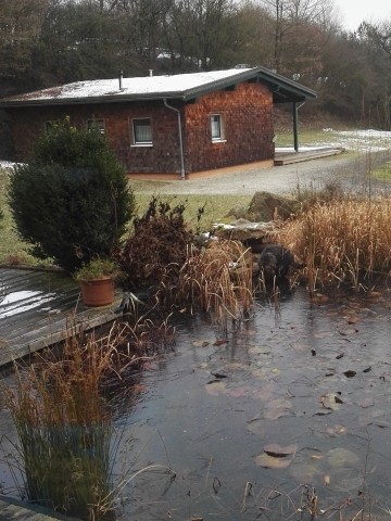 das Ferienhaus im Winter