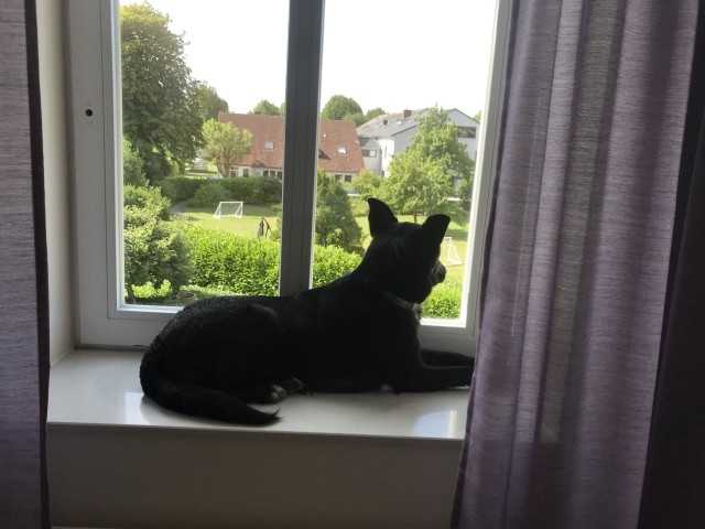 Ruheplätze mit Ausblick