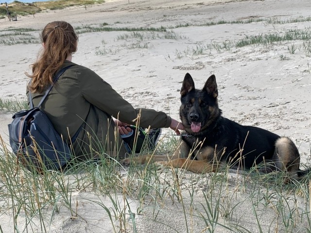 Der Hundestrand ist nur 6 Km entfernt
