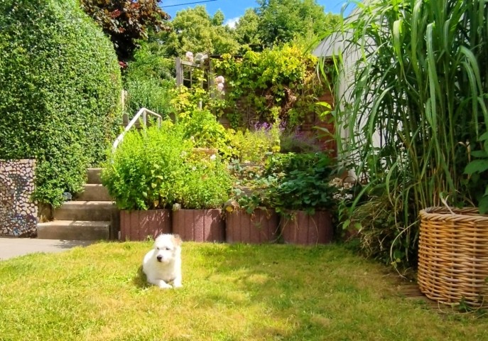 Garten
