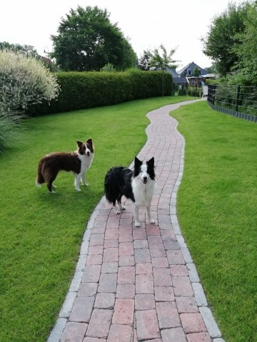 großer, eingezäunter Garten