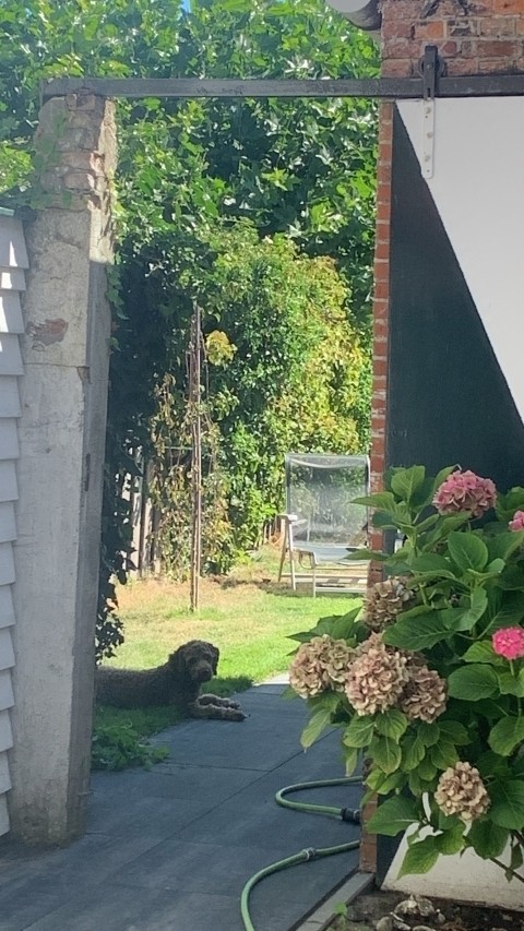 Hof zum Garten