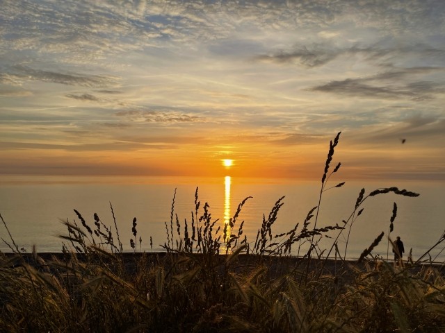 Dazendorfer Strand, 6 km entfernt 