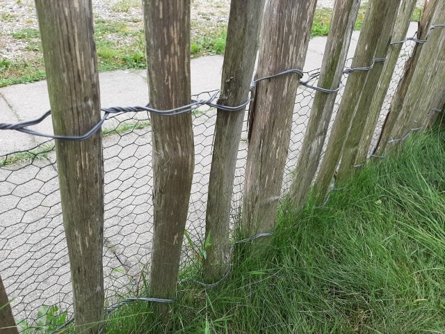 Ausbruchssicherung für Kleinhunde