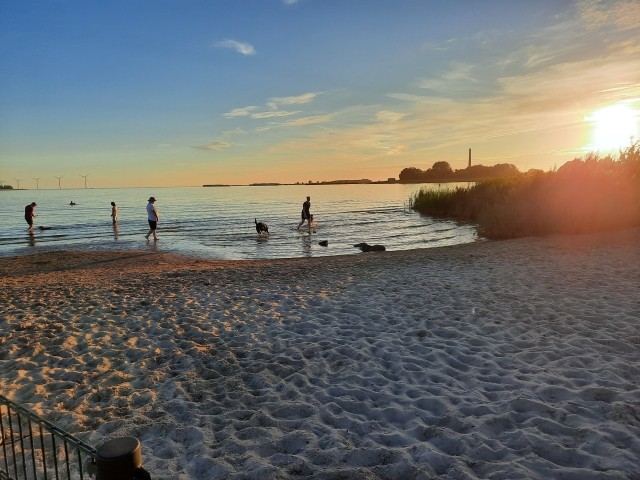 Hundestrand