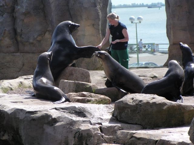 Der berühmte Zoo am Meer (bekannt aus dem TV): Der Eintritt ist für unsere Gäste ebenfalls gratis!
