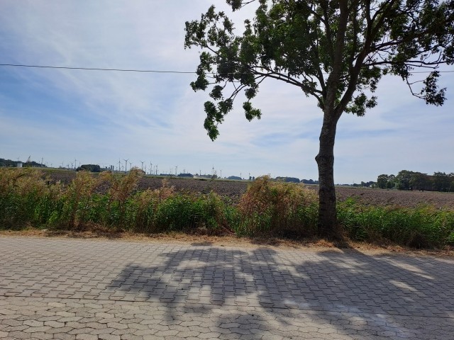 Strassenblick