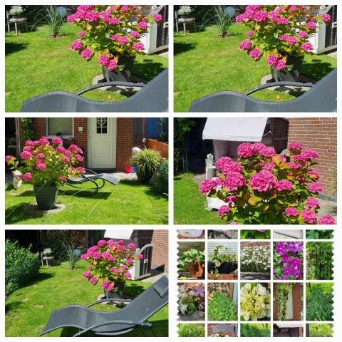 Garten zur Ferienwohnung