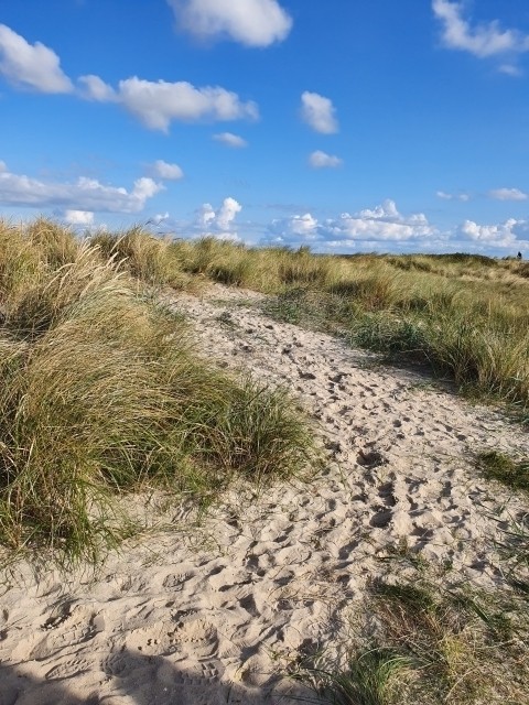 Strand Schillig