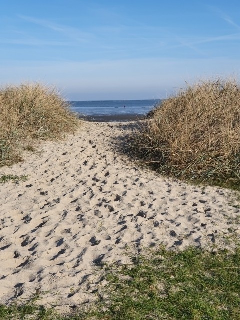 Hundestrand Schillig