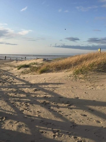 Schillig Hundestrand