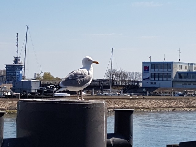 Hafen Warnemünde