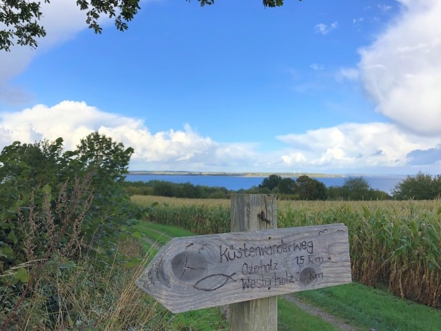 Wanderweg vor der Haustür des Ferienhauses