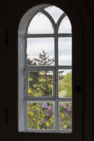Blick in den Garten
