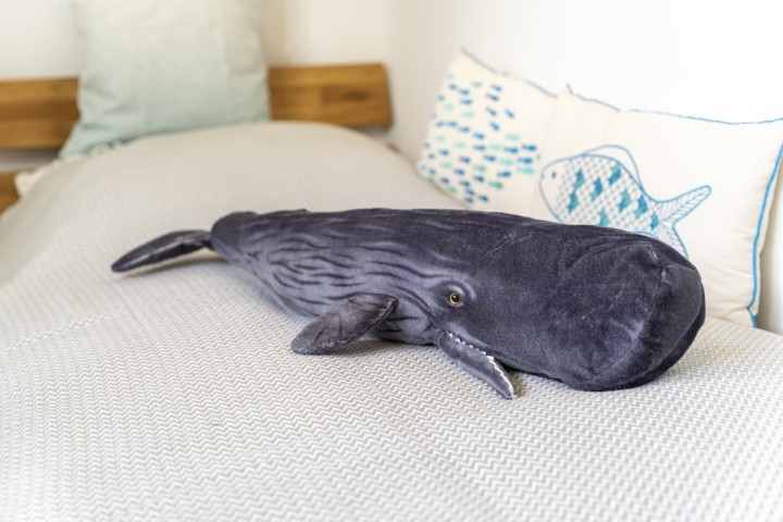 Schlafzimmer DG