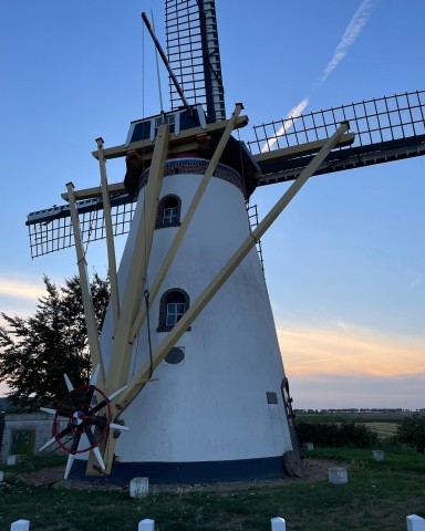 Windmühle in Herkingen