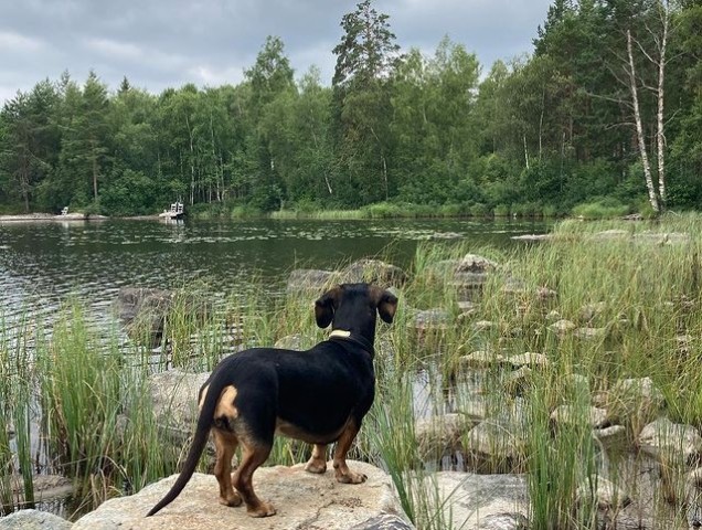 Privatstrand